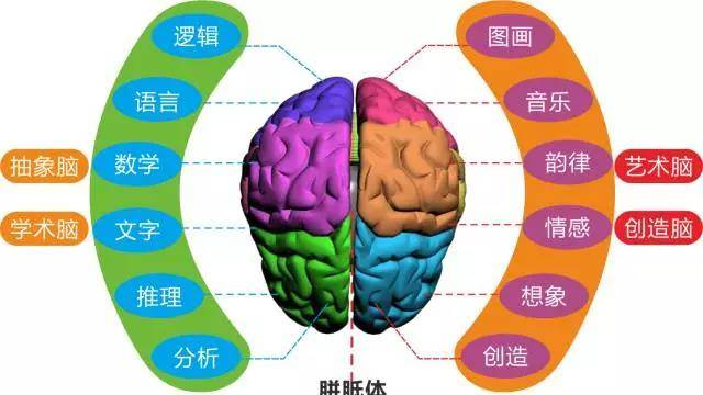 右腦圖像記憶法，五分鐘讓你做到過目不忘！