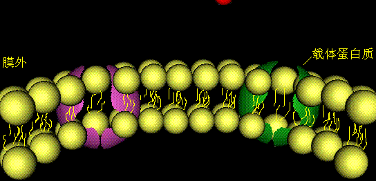 中國(guó)太極拳網(wǎng)