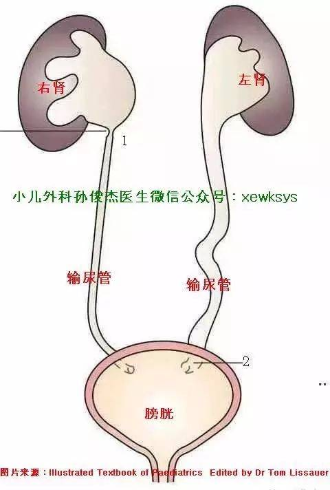 西安外事學(xué)院教務(wù)處