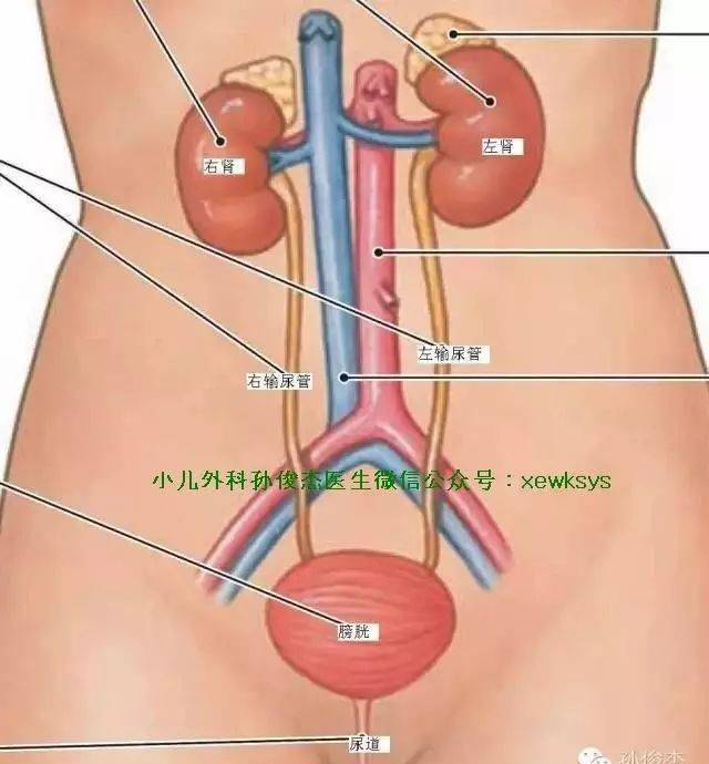 西安外事學(xué)院教務(wù)處