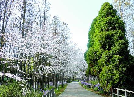 上海特色公園游玩攻略，再也不愁沒(méi)地方玩了