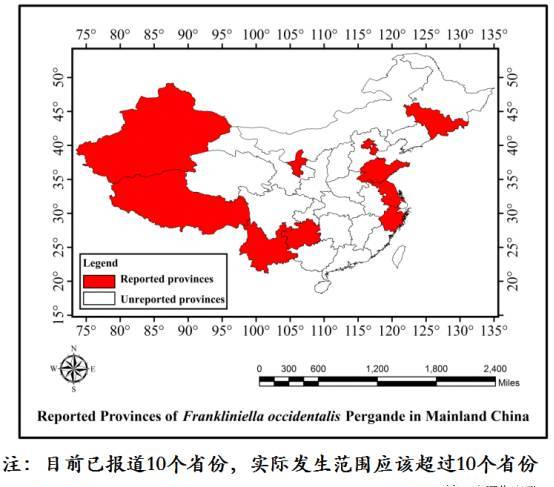 南昌論小蟲第十一講：中國農(nóng)業(yè)科學(xué)院植保所 高玉林研究員 西花薊馬在我國的發(fā)生、危害及綠色防控