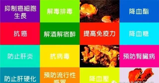 蘿卜網(wǎng)址目錄