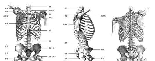 秀網(wǎng)互聯(lián)