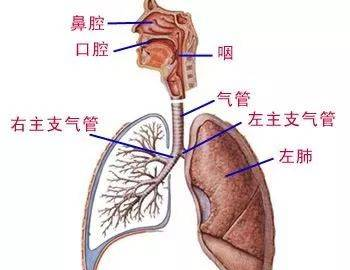 云南民族大學(xué)圖書館