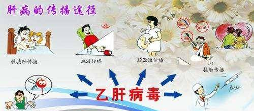 乙肝病毒傳播途徑只有三種嗎？