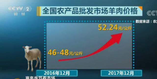 假羊肉是怎么制作出來的？記者暗訪“羊肉卷”加工點…長這樣的都是假肉！