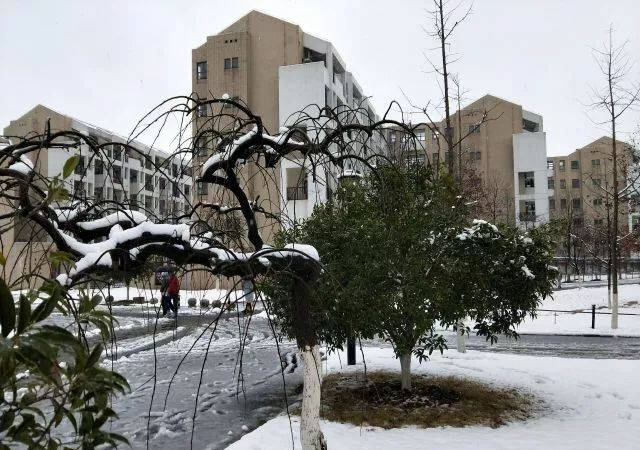 今我來思，雨雪霏霏