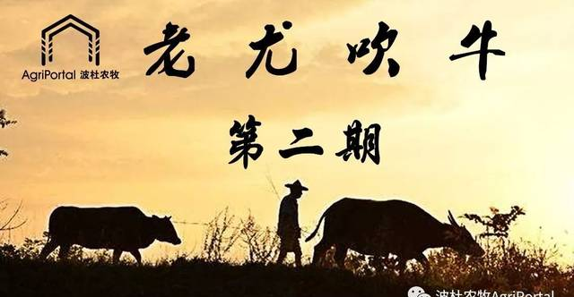 肉牛養(yǎng)殖行業(yè)的“三大基本概念”