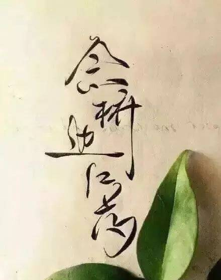 這字體叫菊花體，簡直美哭了??！