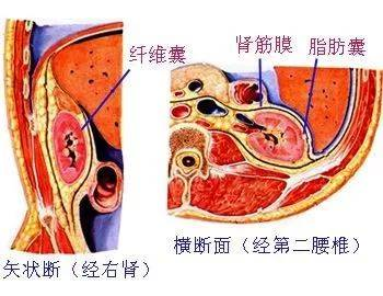 臨安中學(xué)