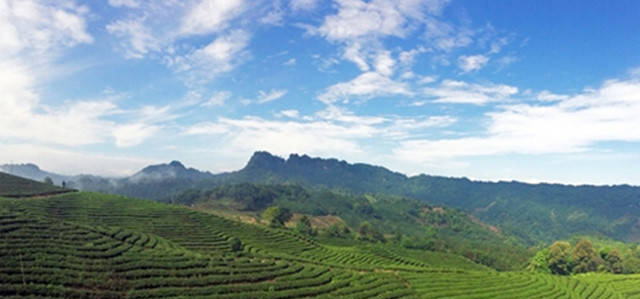 宜賓三海之天宮茶海：生態(tài)蕨溪鎮(zhèn) 魅力天宮山