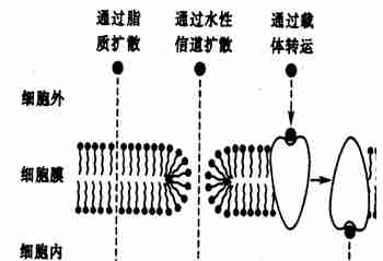 中國(guó)外文局