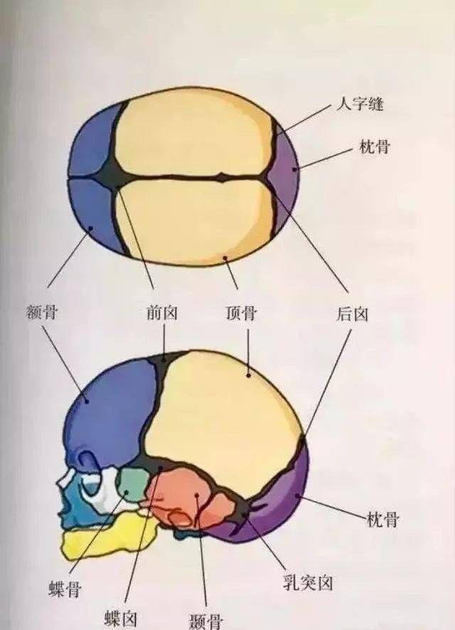 天籟小說網(wǎng)