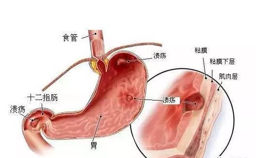 長安新聞網(wǎng)