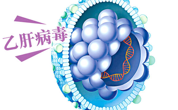 肝硬化到底會(huì)不會(huì)傳染呢？