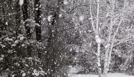 江西風(fēng)景獨(dú)好｜南昌下雪了，迎來(lái)2018年第一場(chǎng)雪，美的驚心動(dòng)魄！