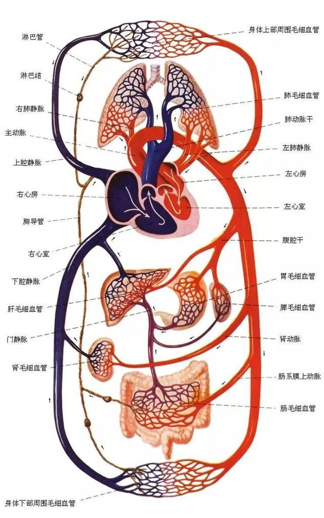 眾信旅游網