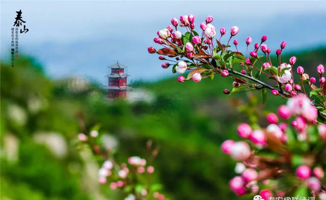 零時差定制旅行