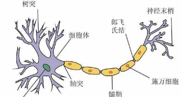 中國企業(yè)社會責(zé)任指南