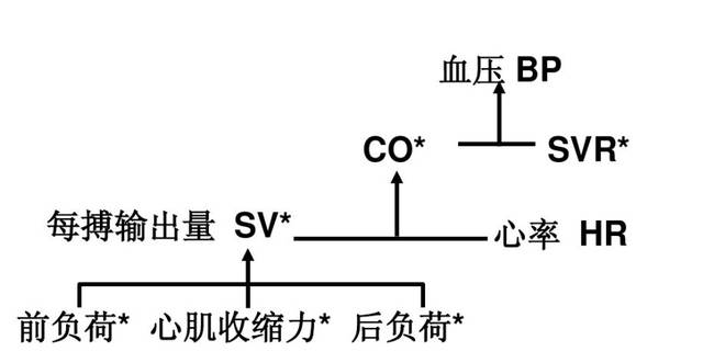 眾信旅游網