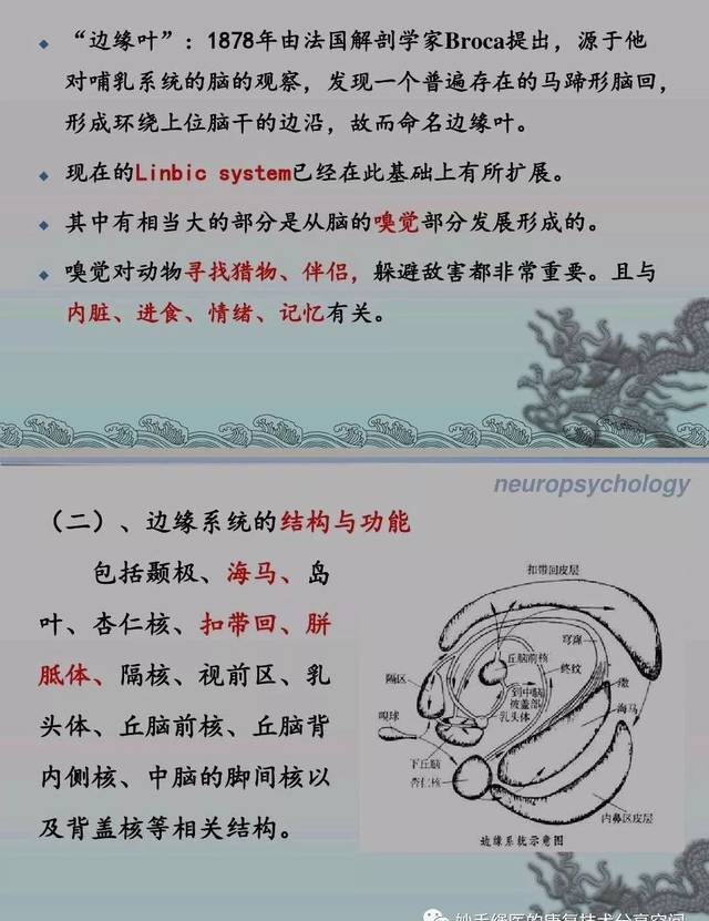 百洋健康網(wǎng)網(wǎng)上藥店