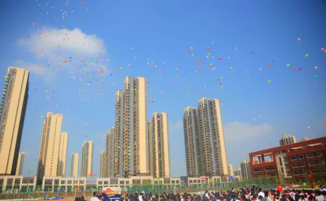 重磅丨綠城育華幼兒園明日開學(xué)，你關(guān)心的都在這兒！