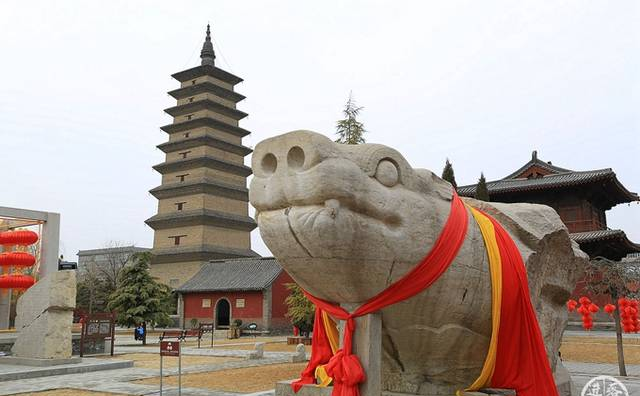 正定開元寺，這里有中國最大的赑屃，超過了歷代帝王將相的神道碑