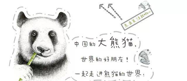 神奇的動物世界 | 不可不知的狗狗進化史