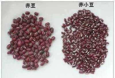 華南理工大學(xué)廣州學(xué)院教務(wù)處