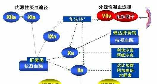 LV的蛇皮袋與馬富豪的蛇皮袋——談?wù)効鼓倪x擇