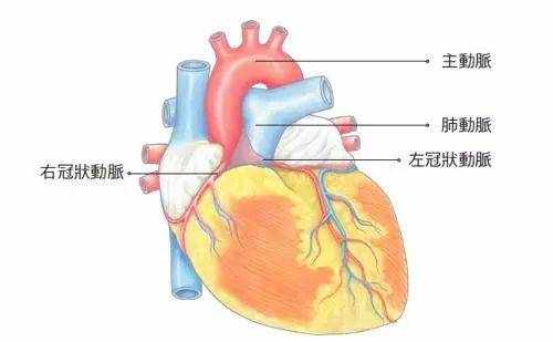 引起冠心病的8個(gè)最主要的原因，你需要了解一下