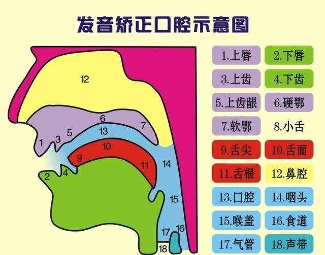 說話容易咬字不清、方言導(dǎo)致的平翹舌音不分該怎么解決？