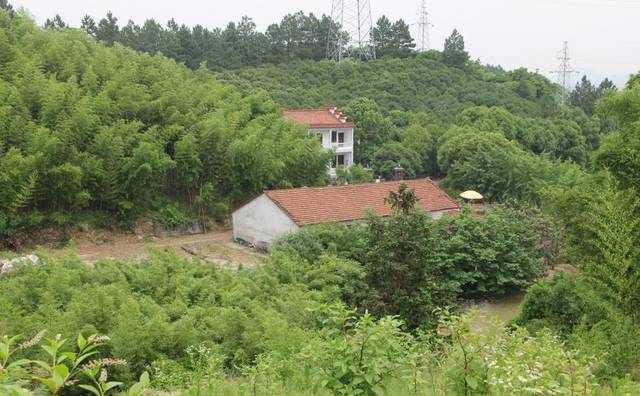 諸暨有個(gè)地方竟然叫“豬頭山”？有美景、有農(nóng)莊、還有一大波美食……