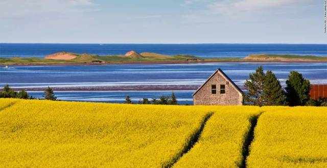 去愛德華王子島(PEI)旅游必看攻略！