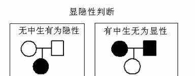 【完虐學(xué)霸】遺傳系譜圖，再也難不住你！