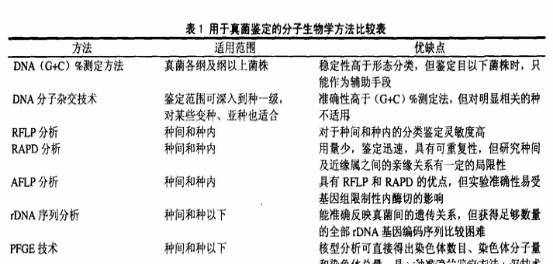 初識(shí)霉菌、圖片制作