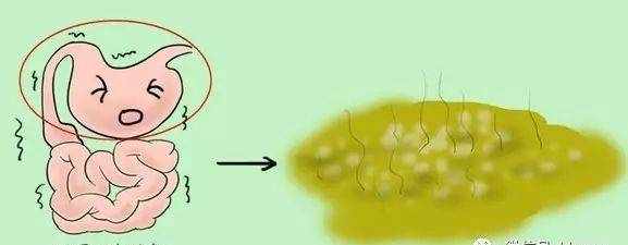 寶寶大便發(fā)綠，原因不止你想的那么簡單