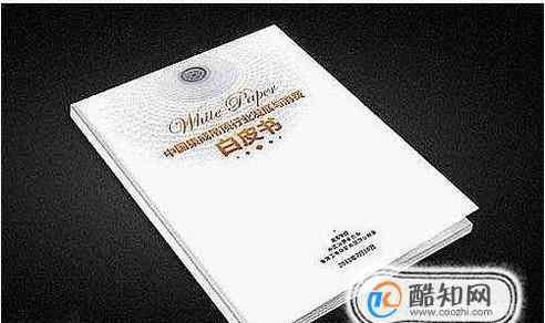 什么是白皮書 白皮書是什么意思