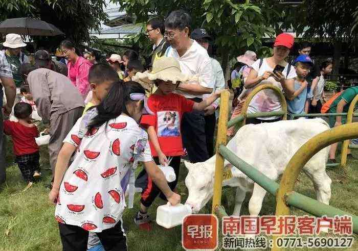 學(xué)生飲用奶 曝光！南寧學(xué)生每天都喝的牛奶，竟是這樣生產(chǎn)出來的！