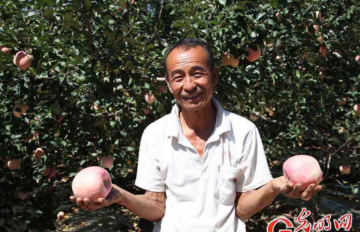 箍窯 從“想吃頓飽飯”到“日子好過了”，改革開放40年——“窮”老漢奔小康