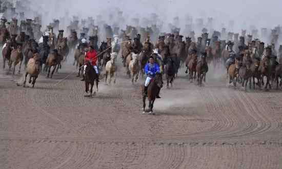 頭馬 吳京成為馬博會(huì)形象大使 于謙欒樹(shù)賽駒斬獲頭馬