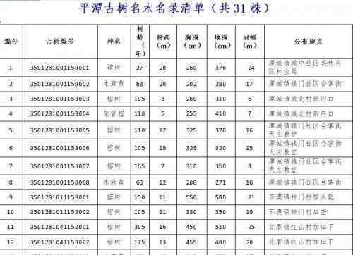 筆筒樹 平潭全區(qū)共有31株古樹名木 最老一株已有330歲