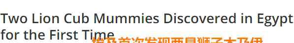 古埃及動物木乃伊 2000多年前的獅子木乃伊出土，原來古埃及人就是這么吸貓的？