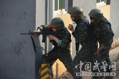 武警四川總隊特戰(zhàn)大隊代表隊賽前訓(xùn)練照片