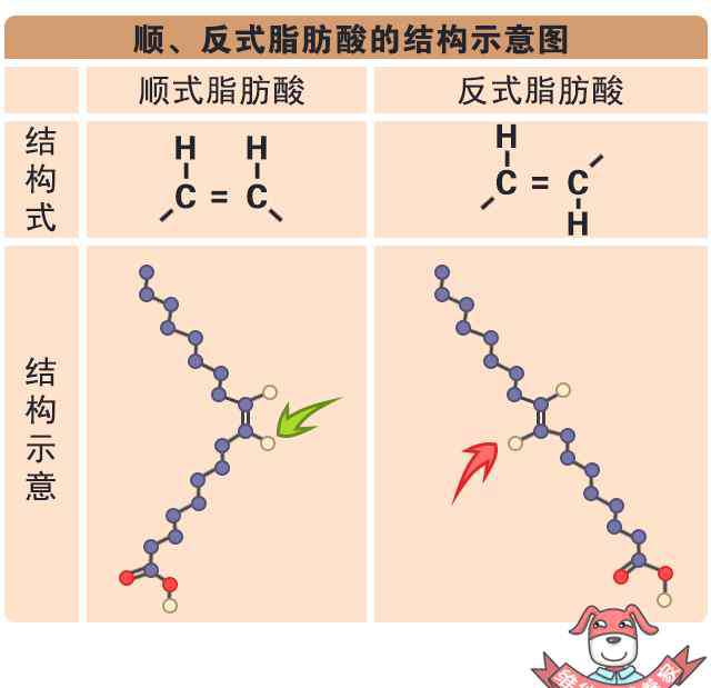 反式脂肪酸有什么危害 被世衛(wèi)組織拉黑的“反式脂肪”，就藏在你常吃的這幾種食物里