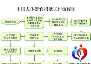 遺體捐獻如何辦理 137例遺體器官捐獻，22例造血干細(xì)胞捐獻，捐獻讓生命延續(xù)……