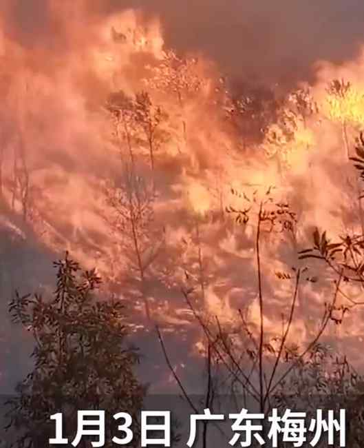 廣東梅州梅縣突發(fā)山火 濃煙滾滾遮天蔽日！網友：一定要注意安全！