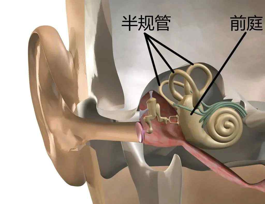 頭暈惡心嘔吐！王俊凱突然得的這種病 “盯上”了年輕人