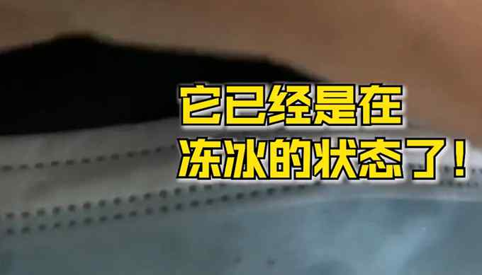 北京迎1966年以來最冷早晨 市民：騎行半小時口罩凍硬捏起來咔咔響